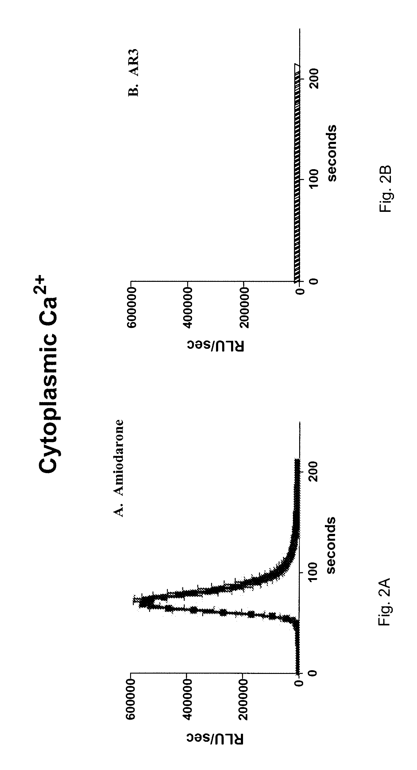 Antifungal compounds