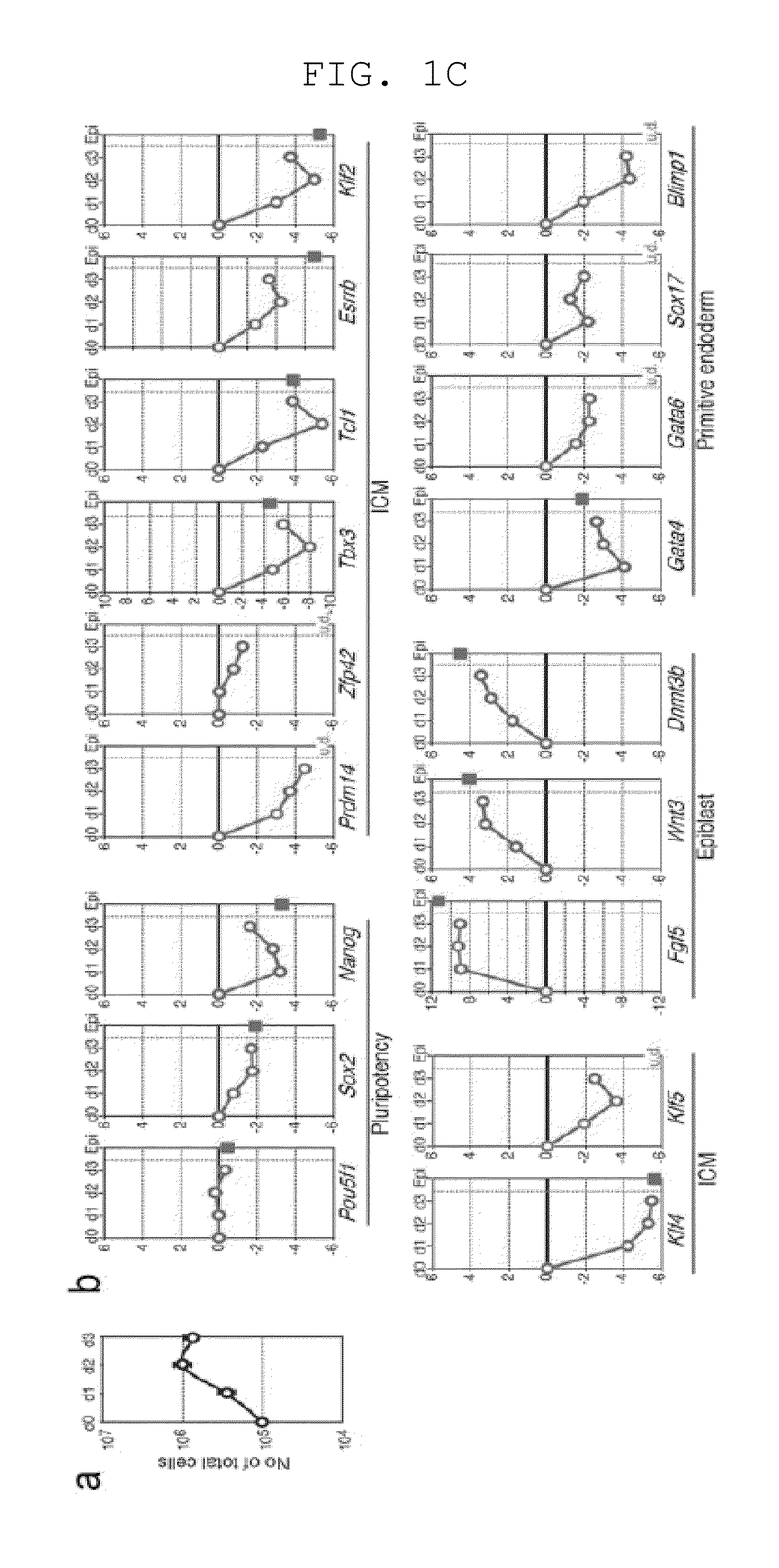 Method of inducing differentiation from pluripotent stem cells to germ cells