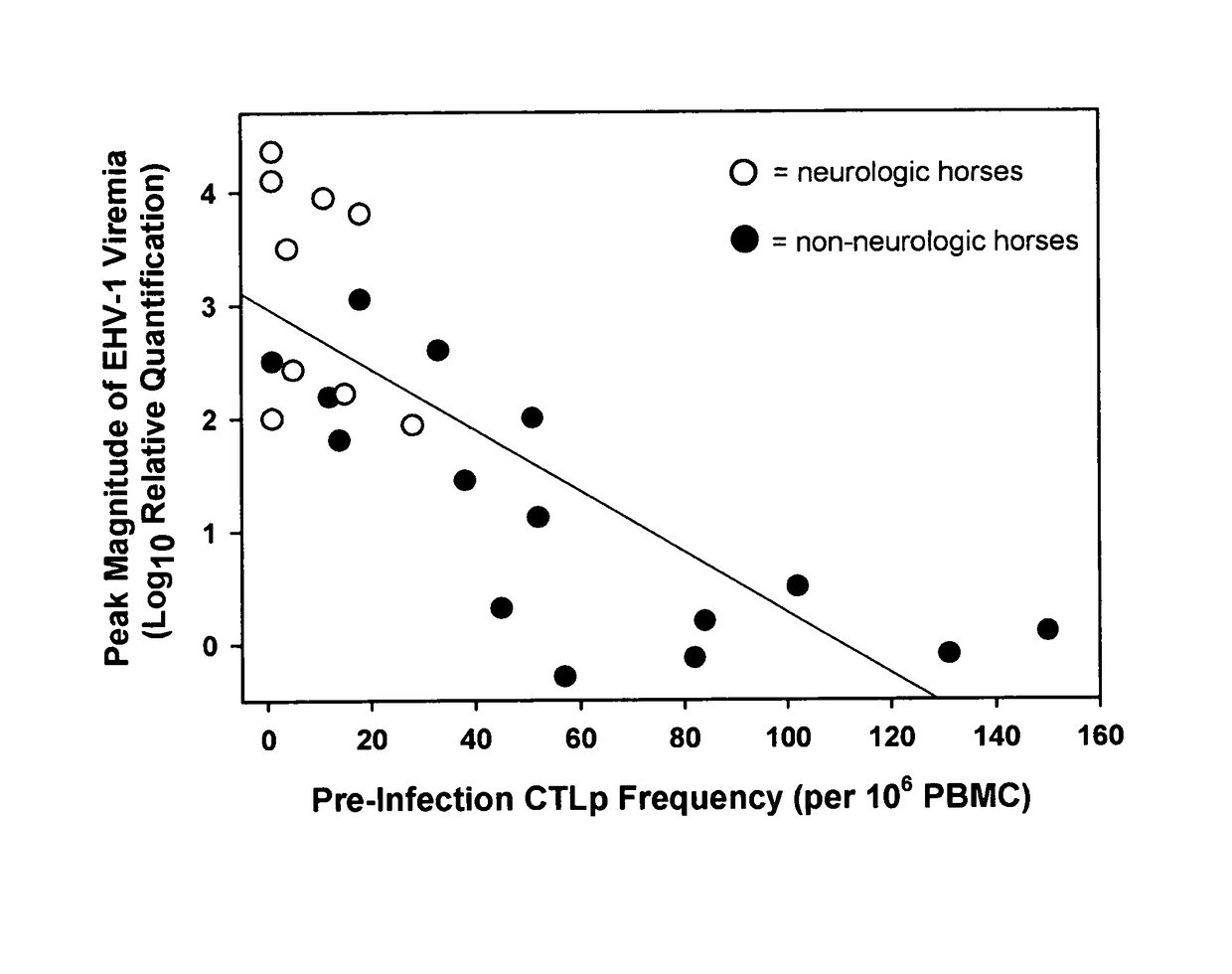 Equine disease model for herpesvirus neurologic disease and uses thereof