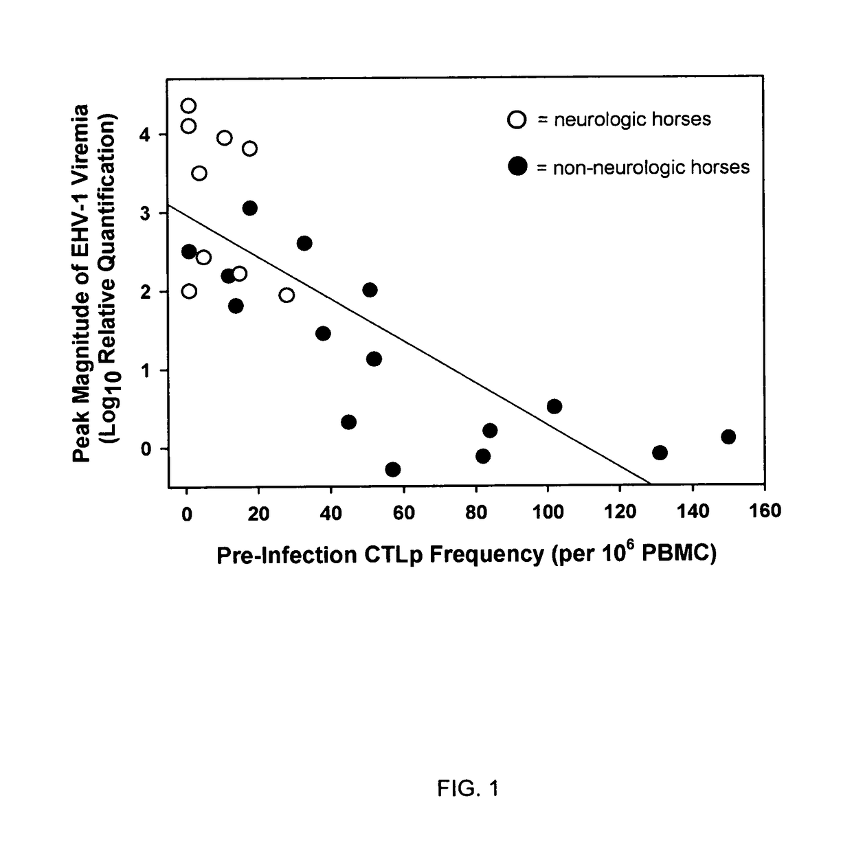 Equine disease model for herpesvirus neurologic disease and uses thereof