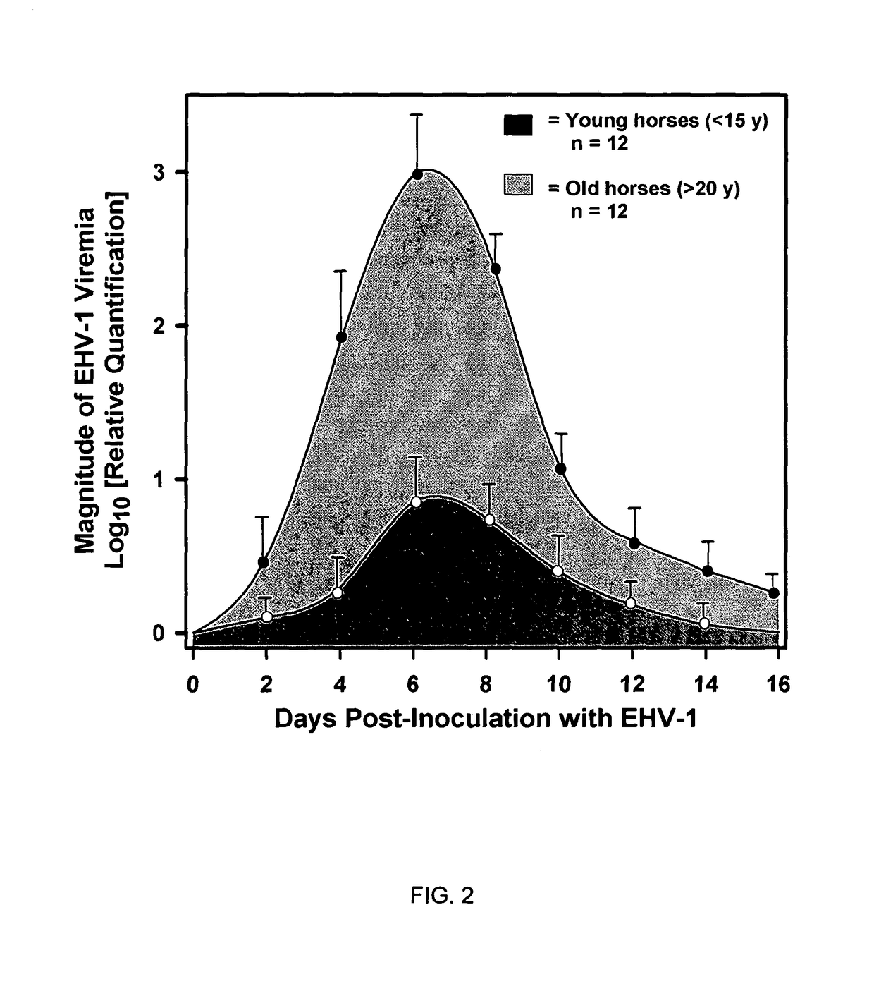 Equine disease model for herpesvirus neurologic disease and uses thereof