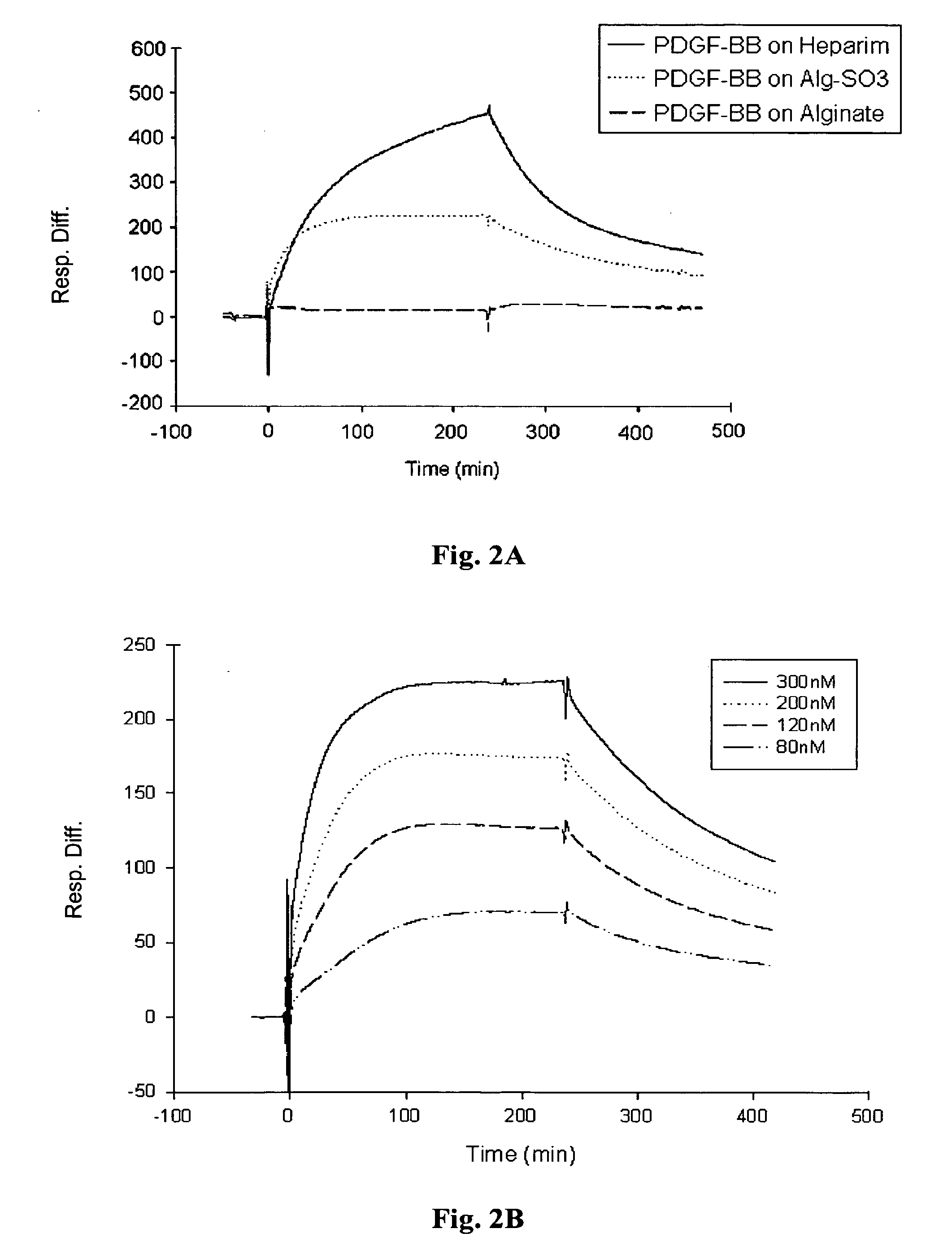 Bioconjugates comprising sulfated polysaccharides and their uses