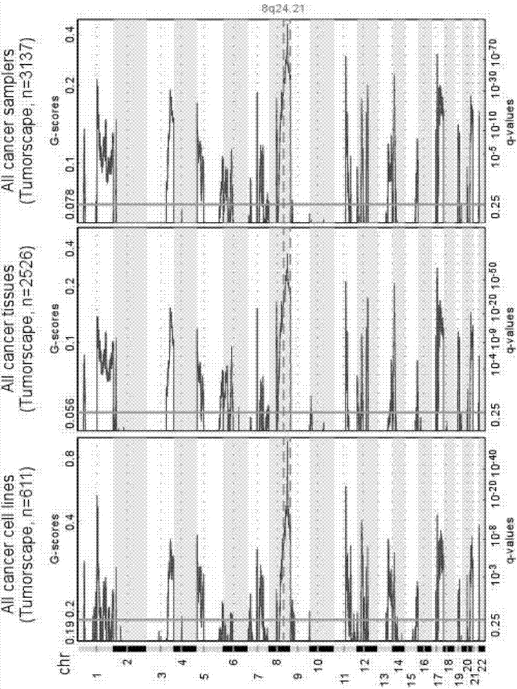 Application of POU5F1B in diagnosis, treatment, prognosis and relapse prediction of tumor