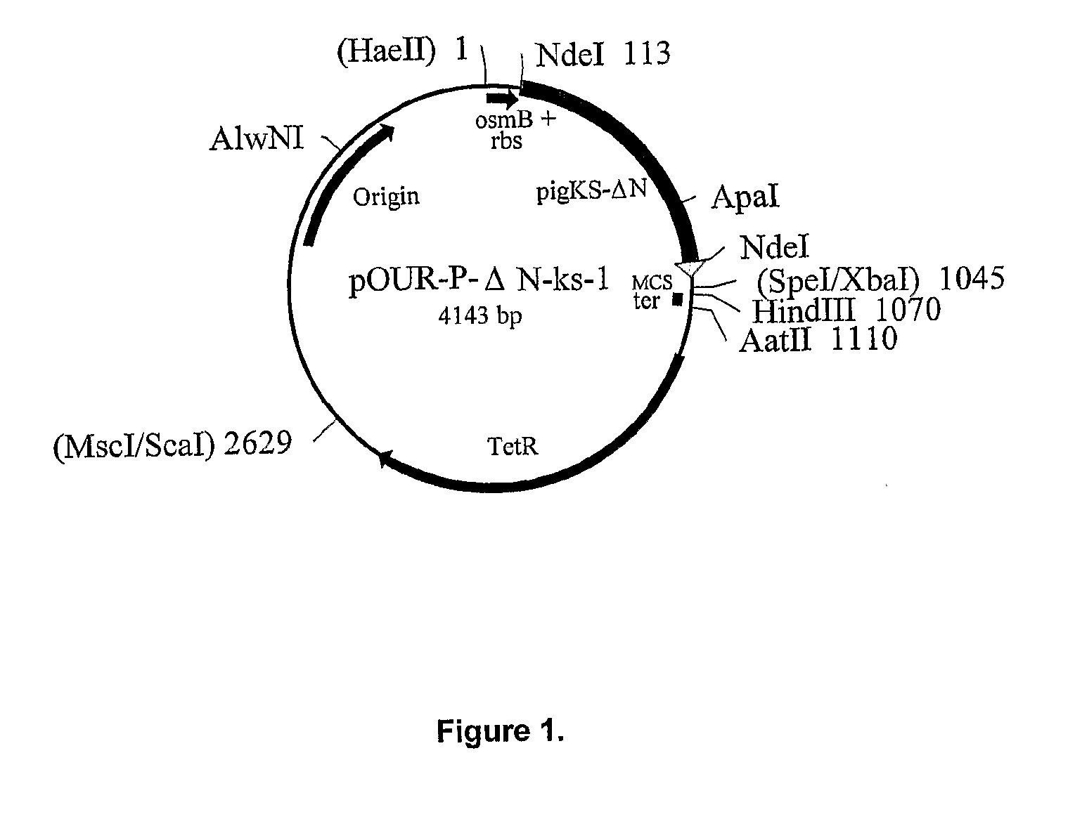 Variant form of urate oxidase and use thereof