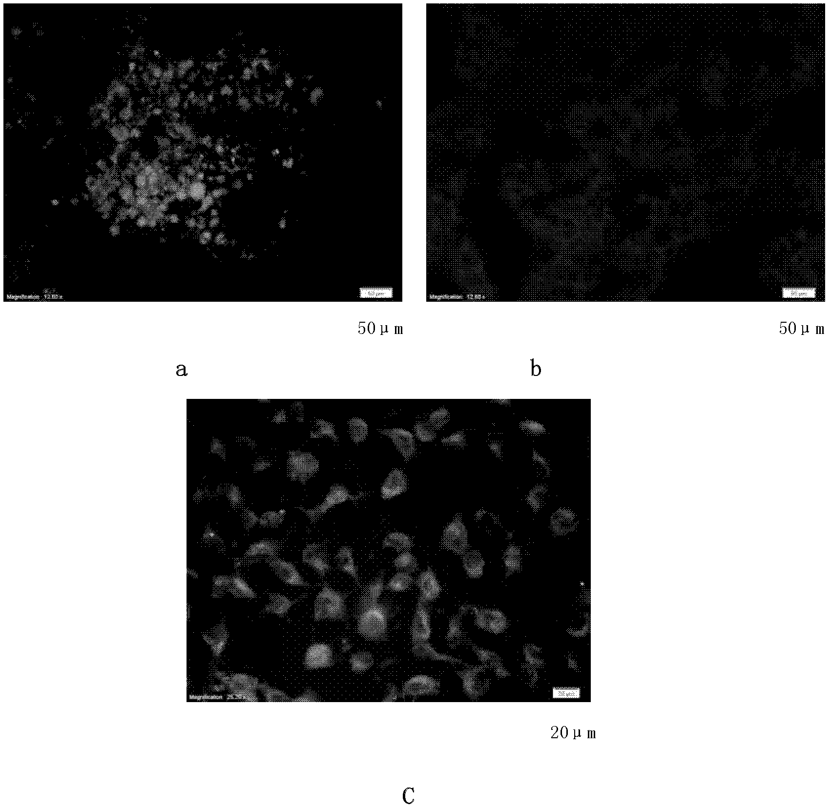 Blood maintenance liquid, preparation method thereof and application thereof