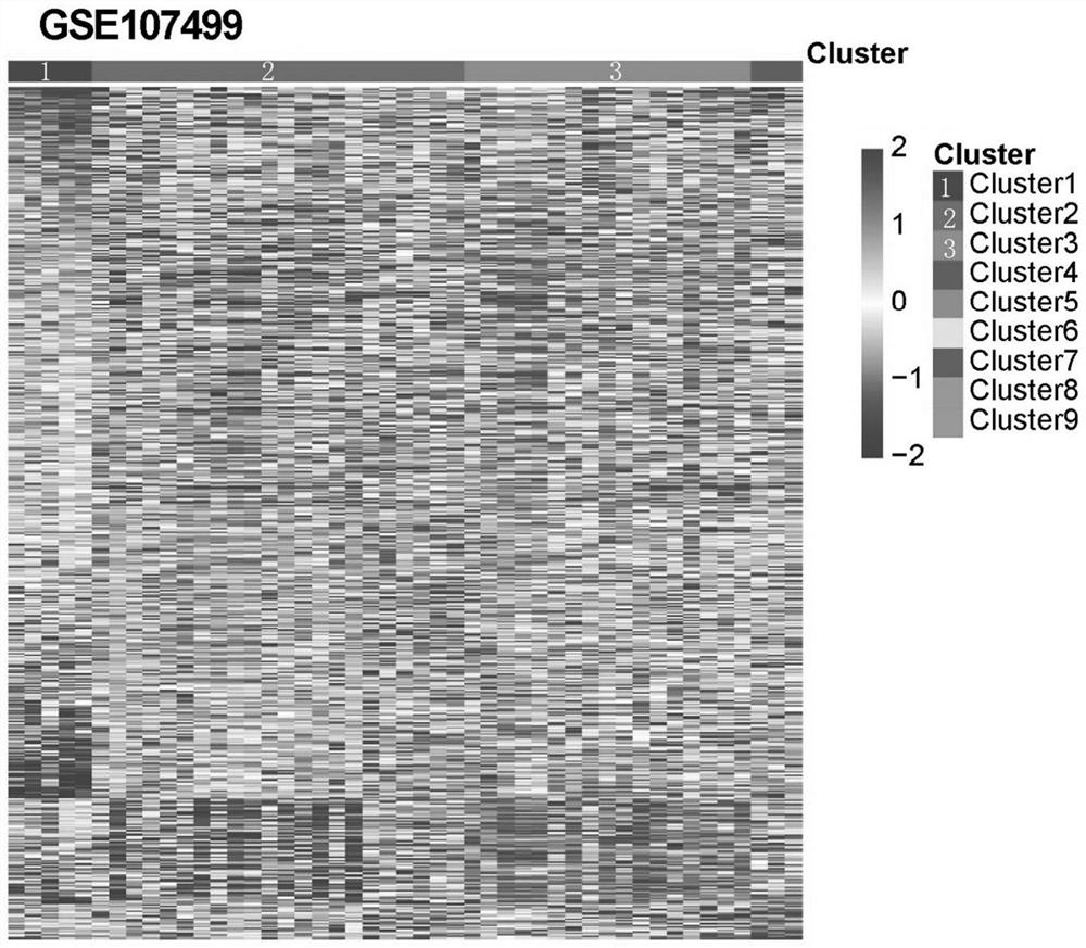 Classification method and system of immune-related disease molecular typing and subtype classifier