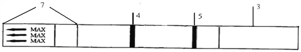 Preparation method and application of a kind of iprodione hapten and antigen