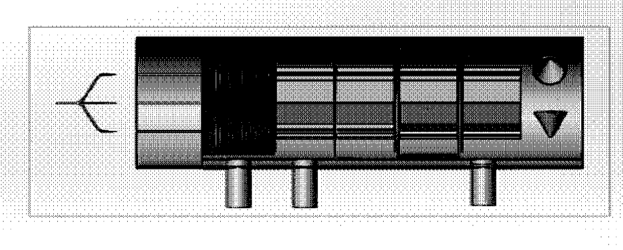 Multichannel triple quadrupole mass spectrum array system