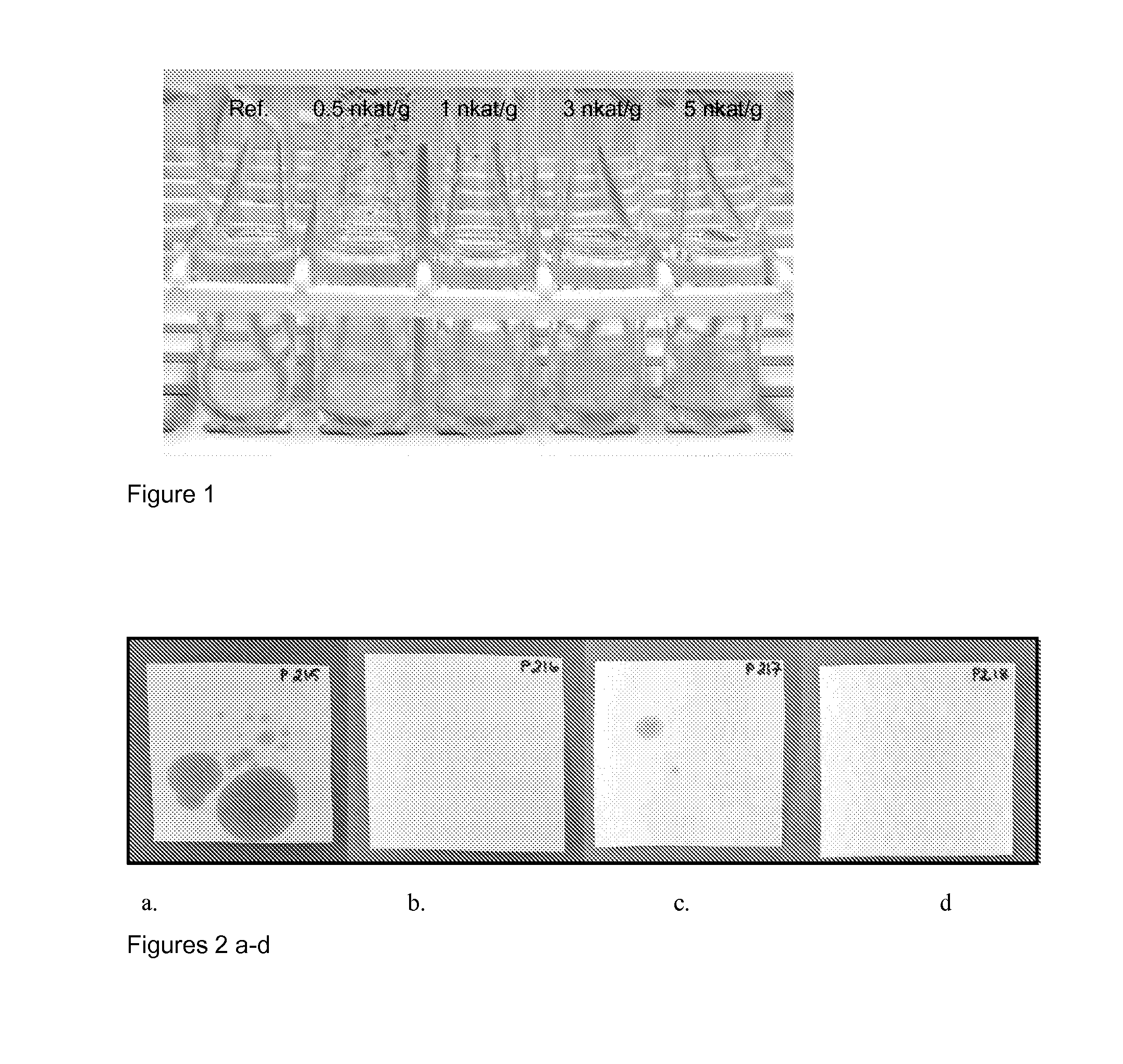 Modified biomaterial, uses thereof and modification methods