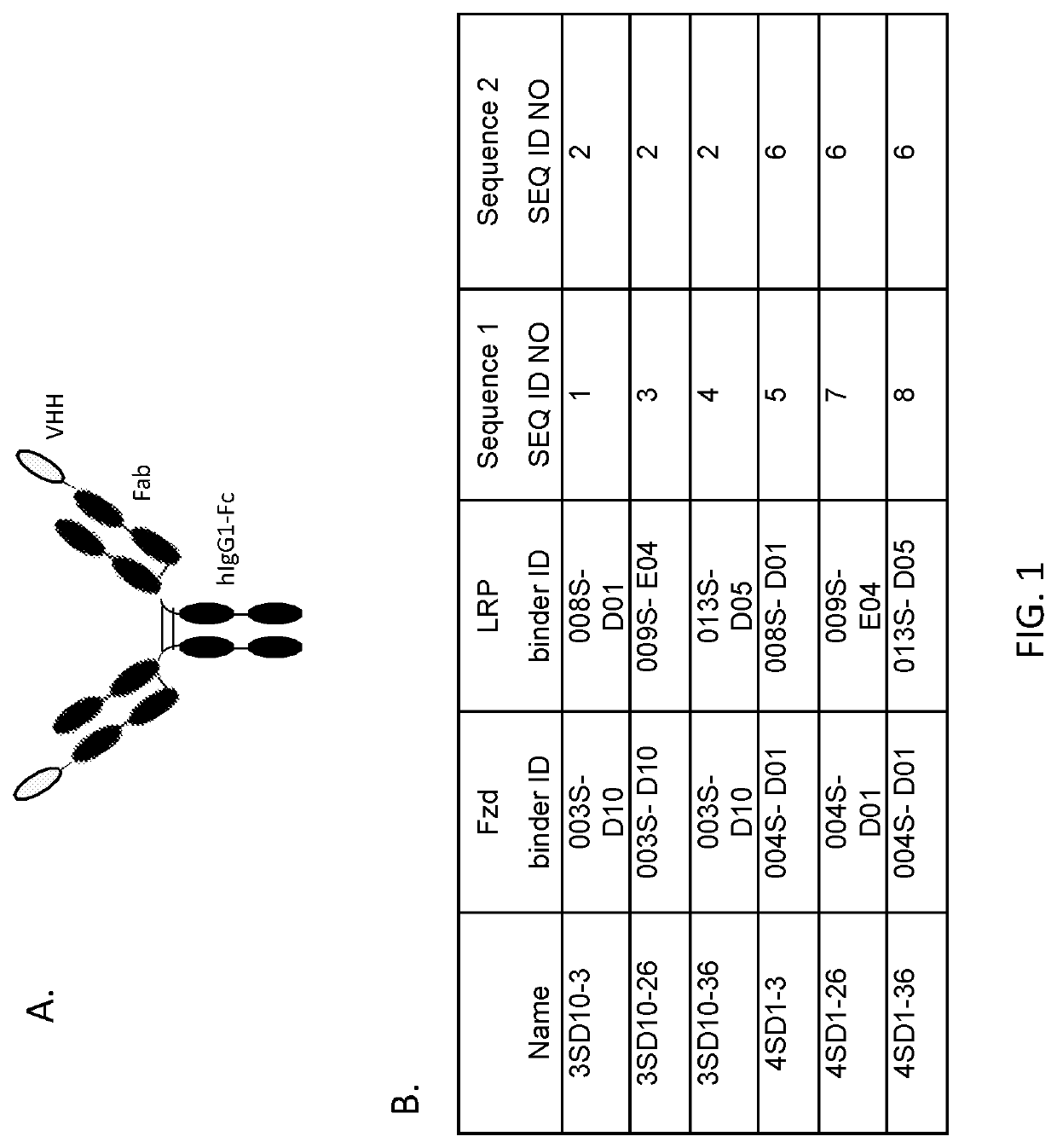 Modulation of wnt signalling in ocular disorders