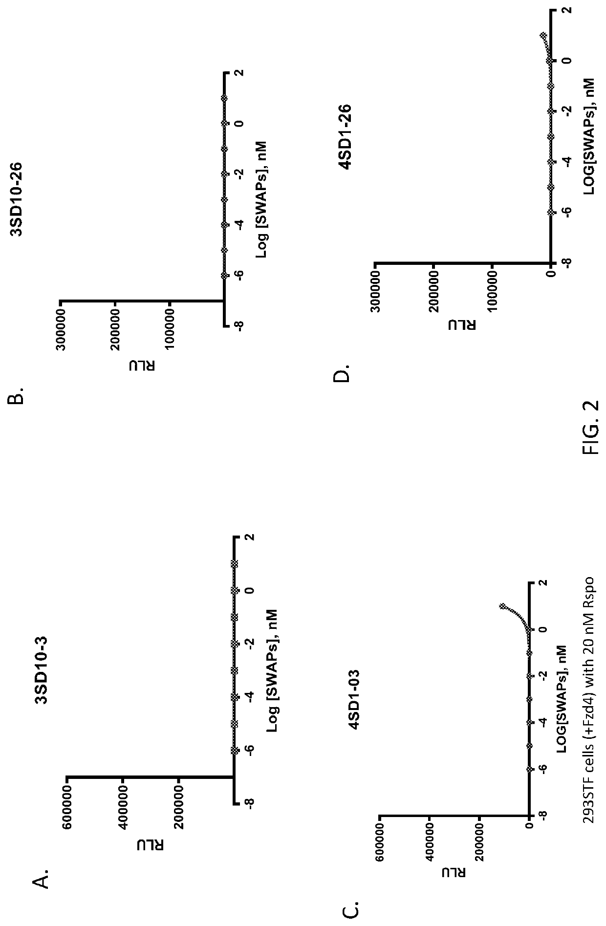 Modulation of wnt signalling in ocular disorders