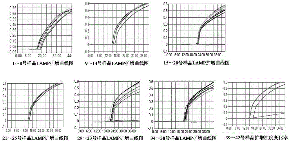 Method for rapidly detecting pseudomonas aeruginosa in textile