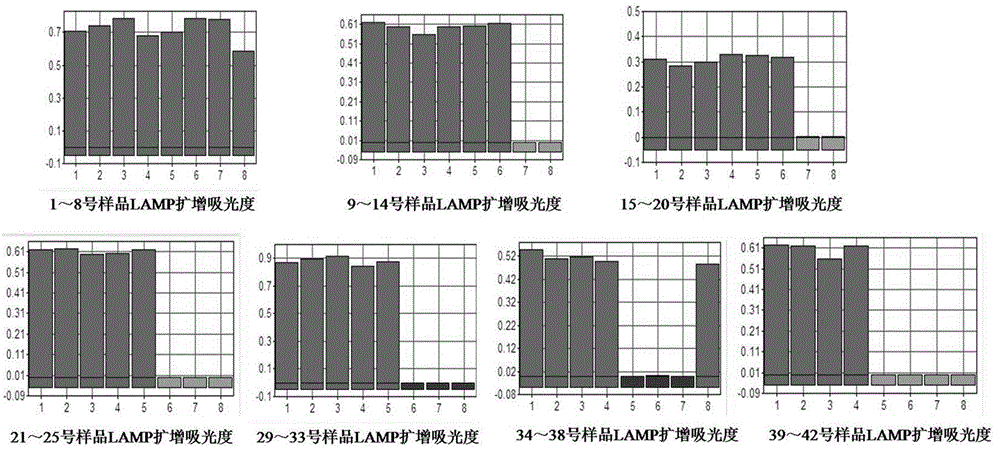 Method for rapidly detecting pseudomonas aeruginosa in textile