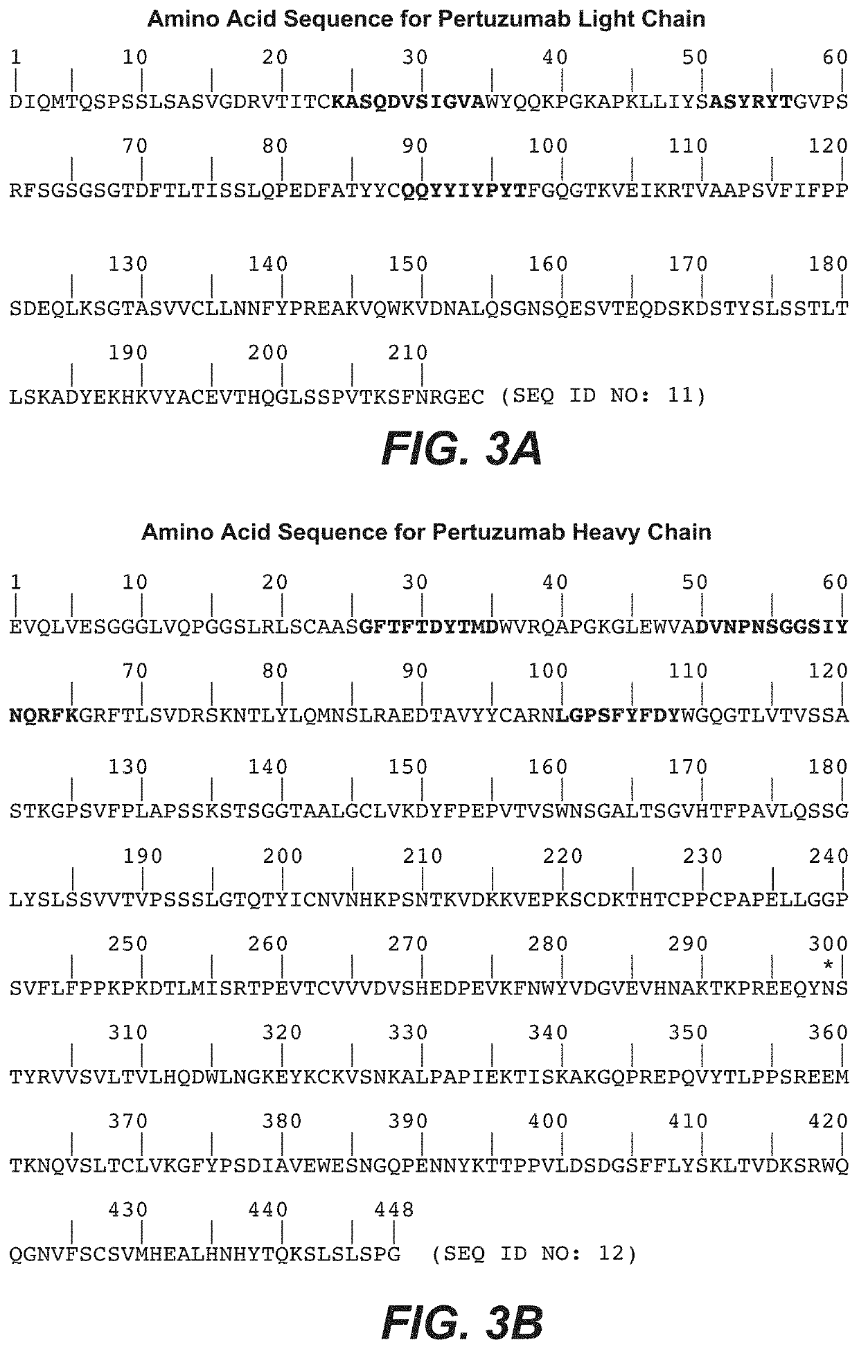 Adjuvant treatment of her2-positive breast cancer