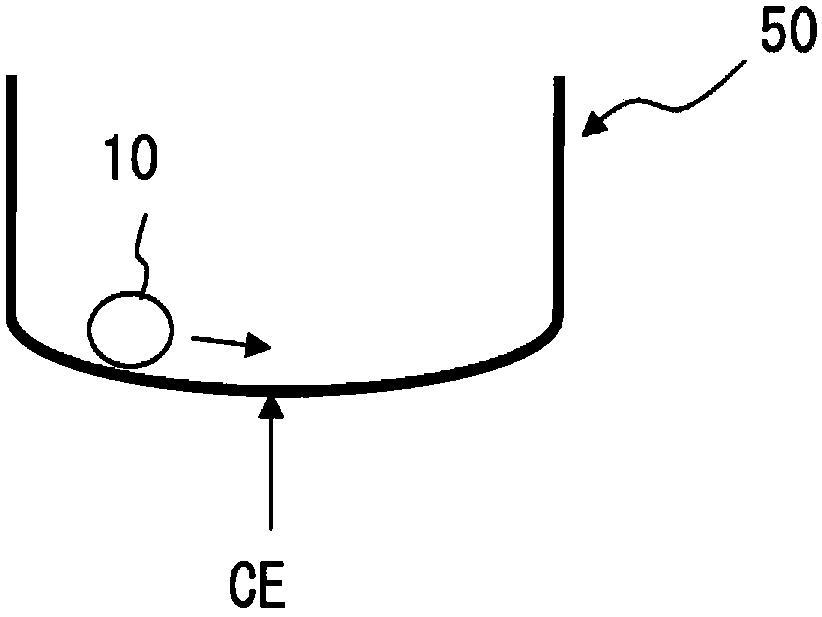 Plastic reference material and manufacturing method thereof