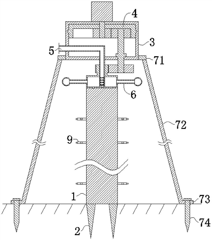 Pitaya planting device