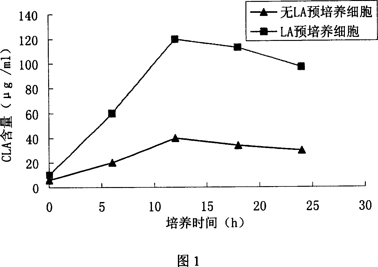 Plant lactobacillus and method of biological preparing conjugated linoleic acid using the same