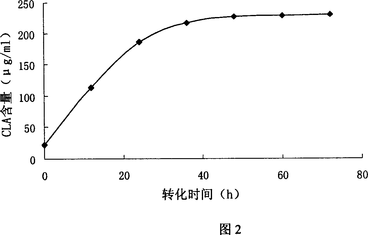 Plant lactobacillus and method of biological preparing conjugated linoleic acid using the same