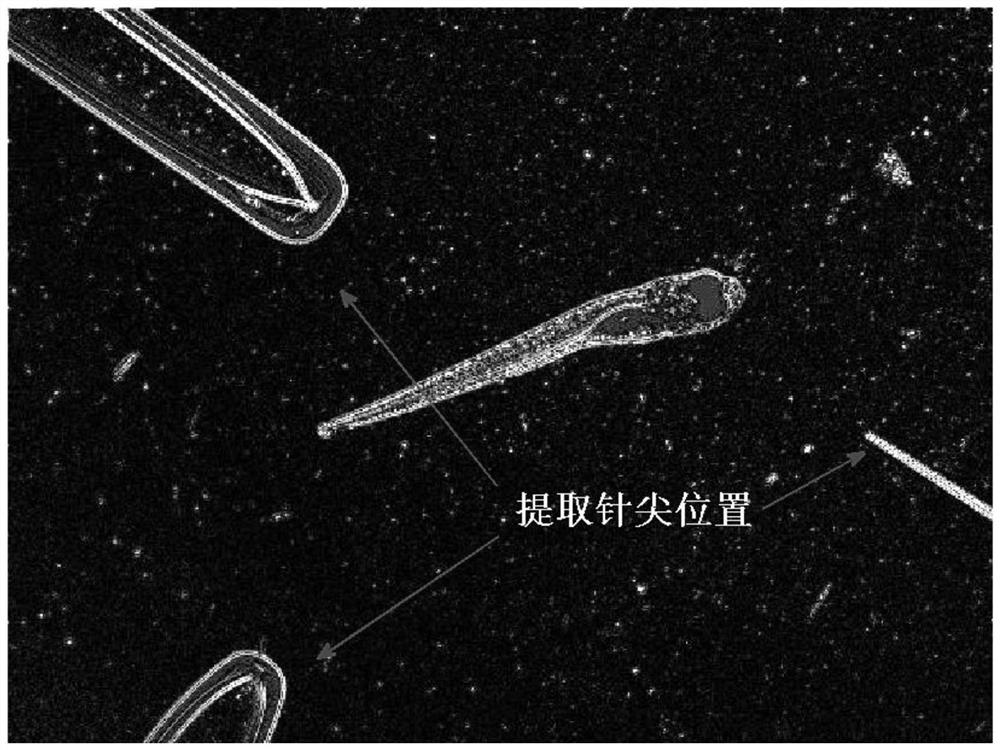 A method and device for automatic positioning of tips of different micropipettes