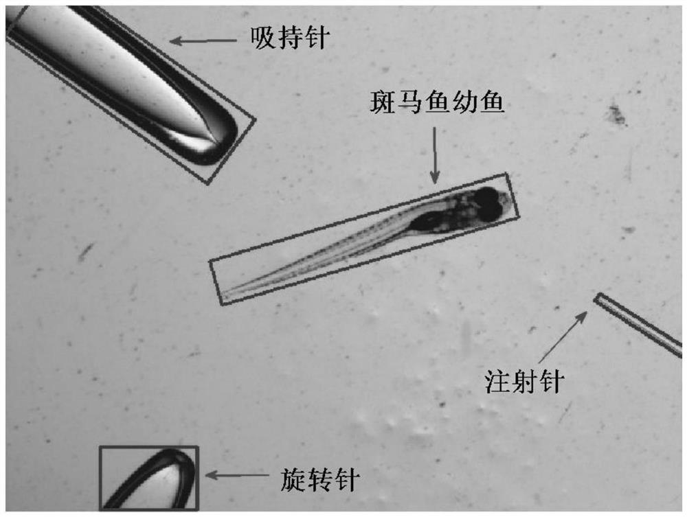 A method and device for automatic positioning of tips of different micropipettes