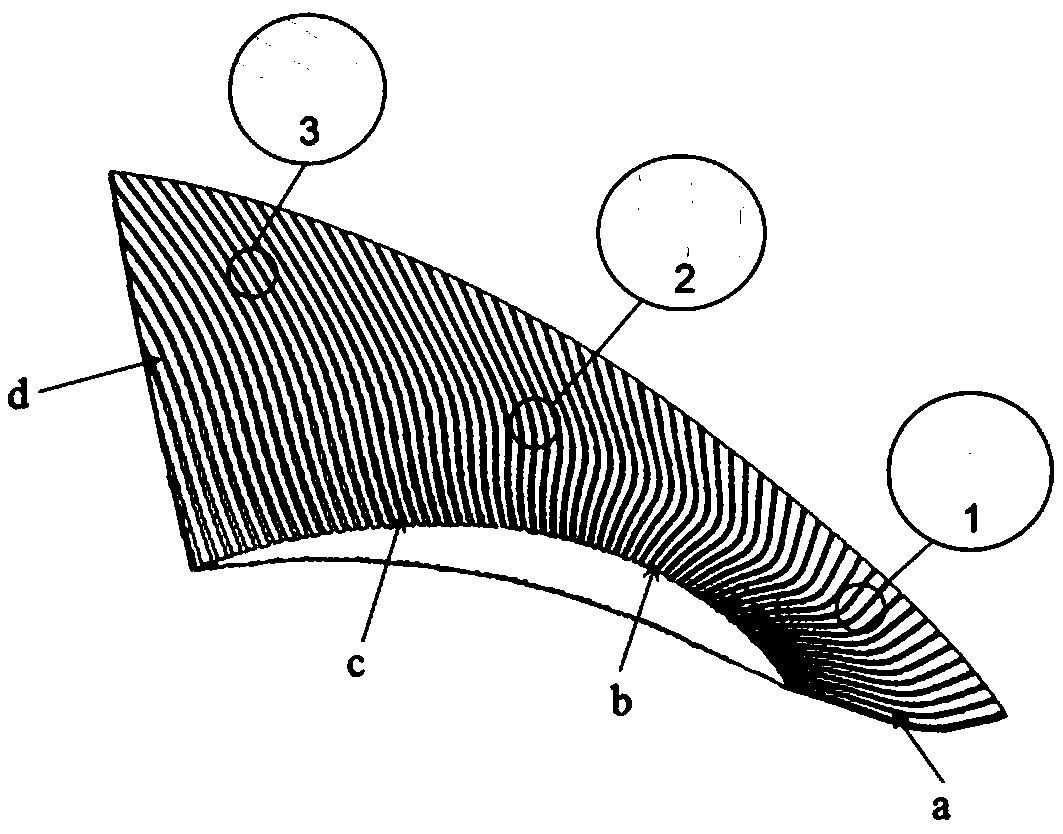 Bionic blade on basis of shark surface drag reduction technologies