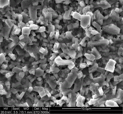 Method for producing iron-zinc alloy coated steel plate with yield strength being equal to or higher than 220 MPa