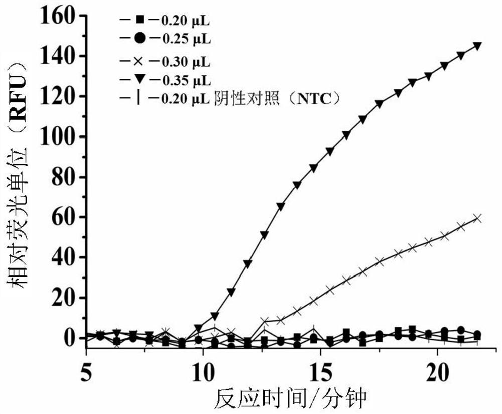 Method for amplifying and detecting nucleic acid and kit