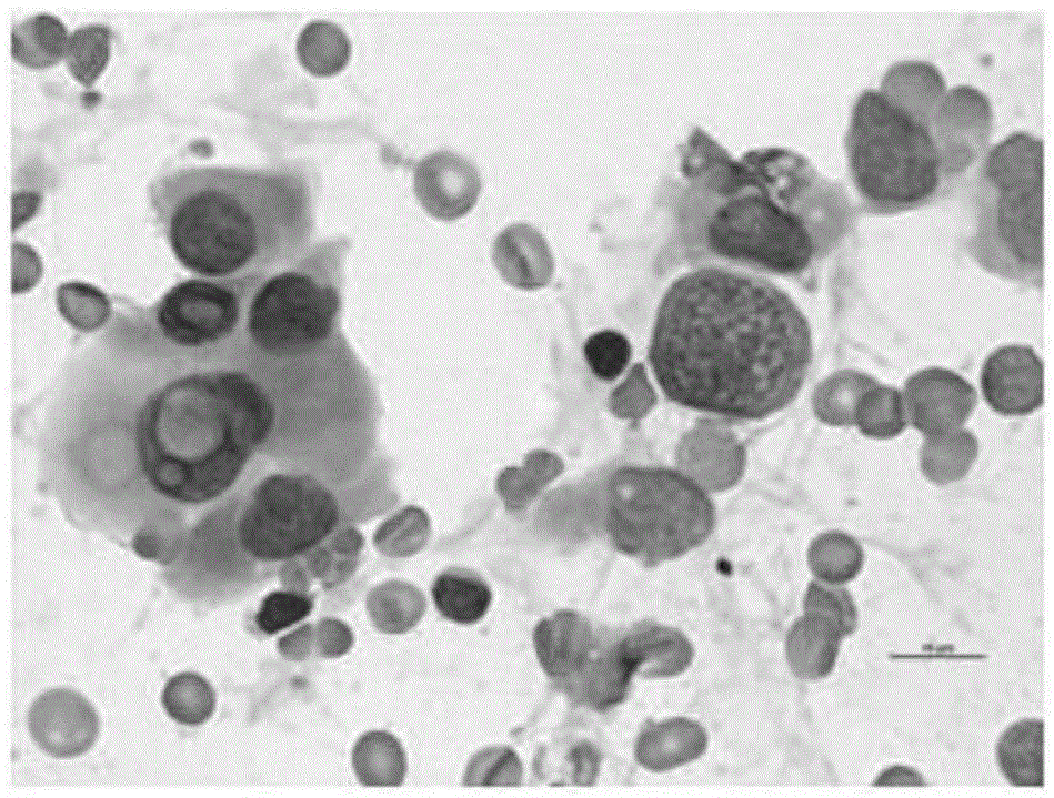 A kind of hematoxylin eosin staining solution and preparation method thereof