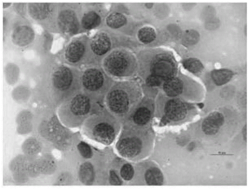 A kind of hematoxylin eosin staining solution and preparation method thereof