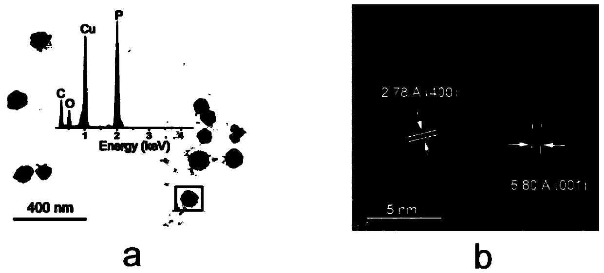 Preparation method and applications of fiber-phase red phosphorus nanoparticles