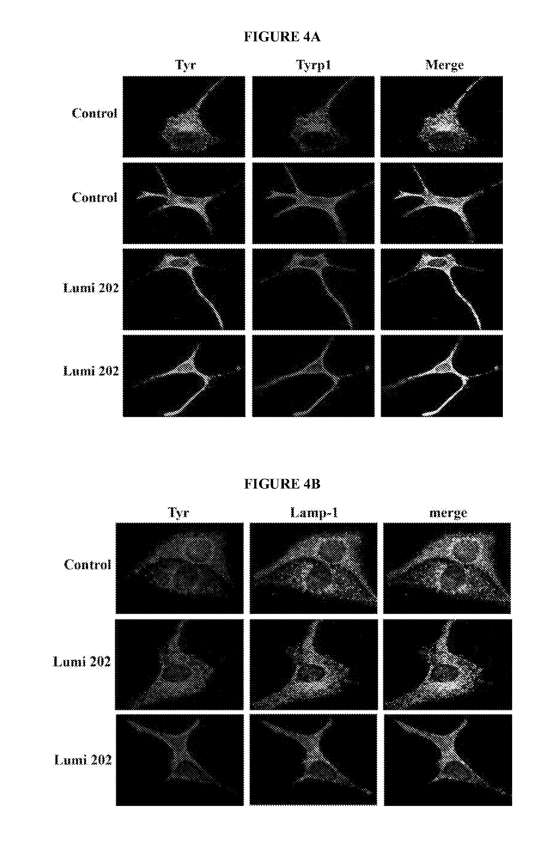 Indole alkaloid compounds as melanogenesis promoters and uses thereof