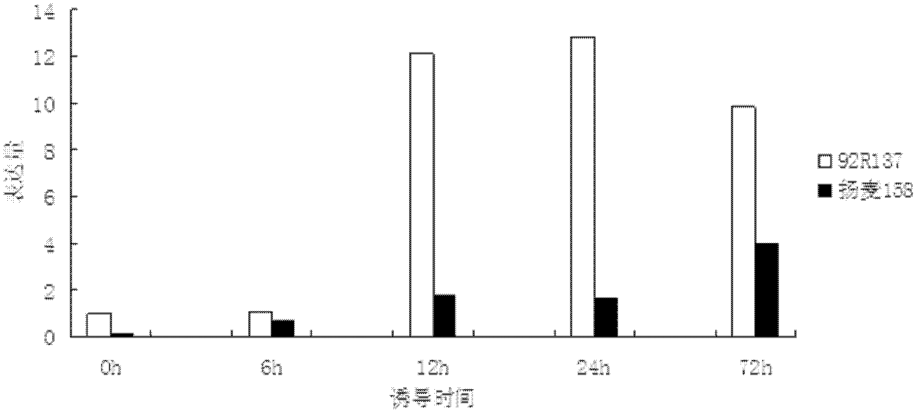 Transmembrane protein gene triticum asetivum leucine rich repeat 3 (TaLRR3) with leucine rich repeat (LRR) structure domain as well as expression vector and application thereof