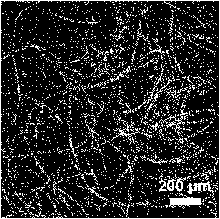 Two-photon fluorescent bio-silk material and preparation method thereof