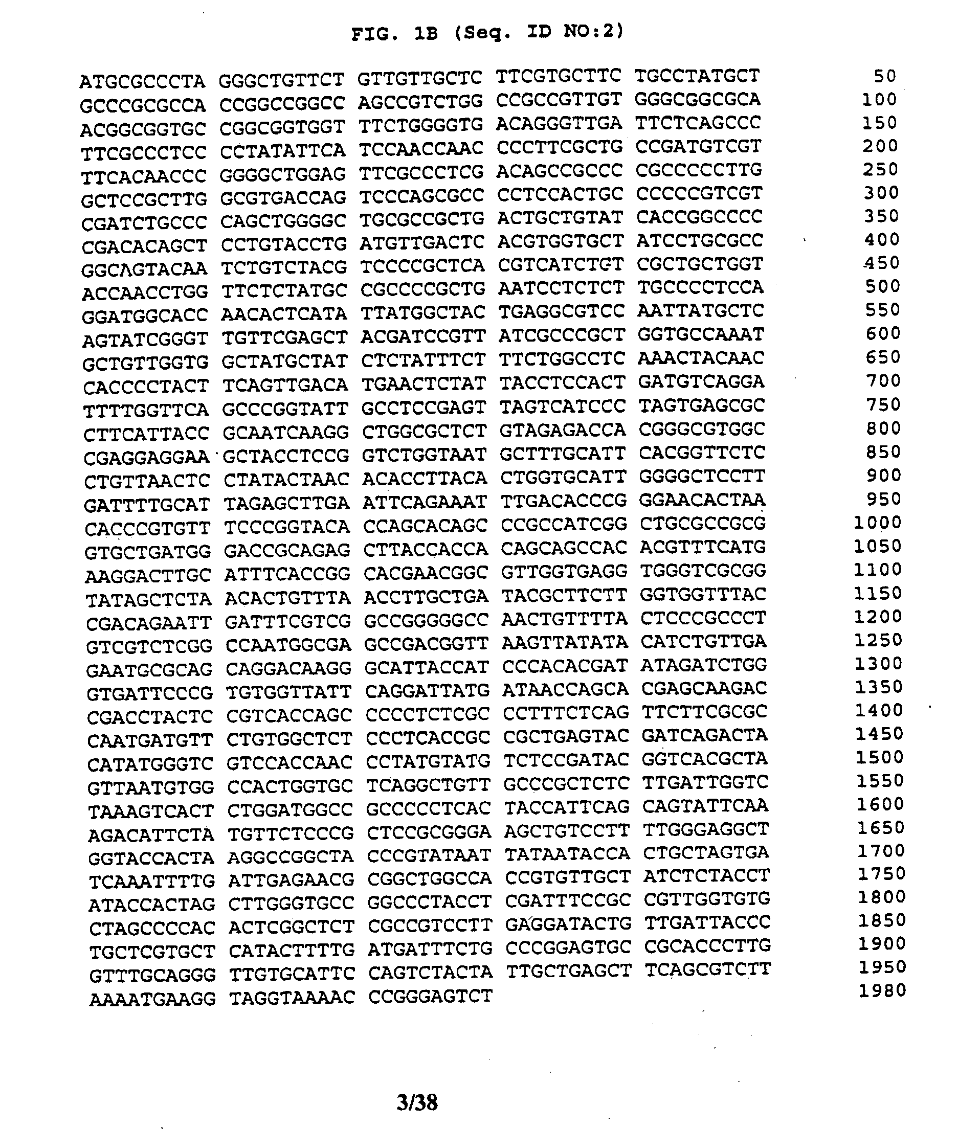 Recombinant orf2 proteins of the swine hepatitis e virus and their use as a vaccine and as a diagnostic reagent for medical and veterinary applications