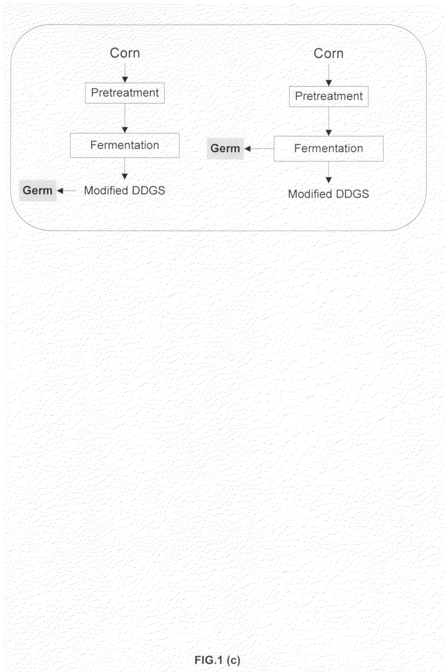 Novel corn degerming Ethanol fermentation processes