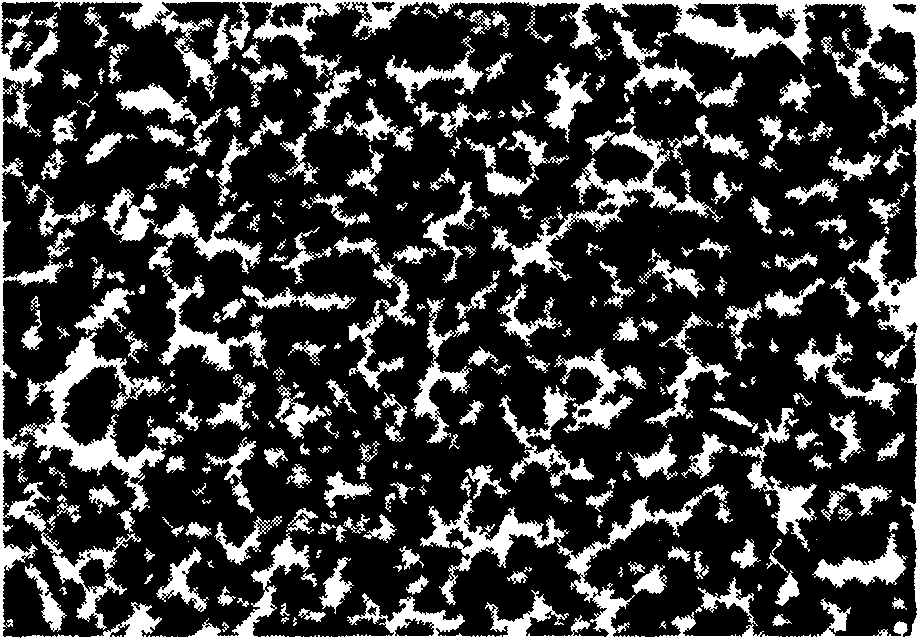 Method for chemical plating nickel-boron alloy on magnesium alloy surface