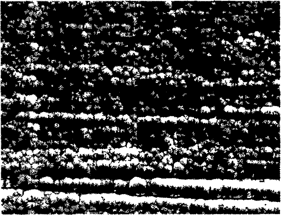 Method for chemical plating nickel-boron alloy on magnesium alloy surface