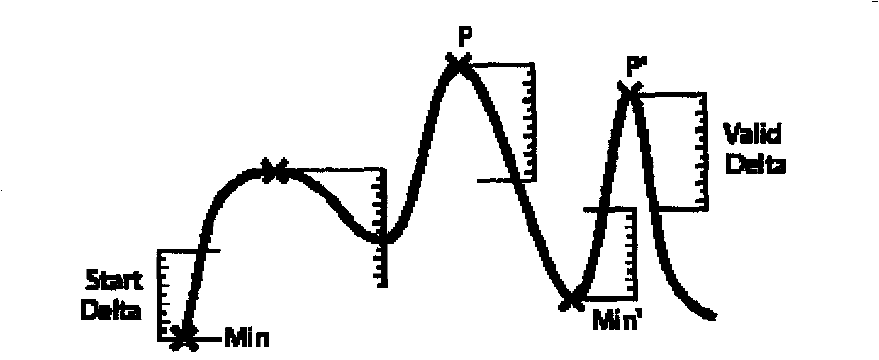 Nanosecond on-line detection system for random pulse time sequence