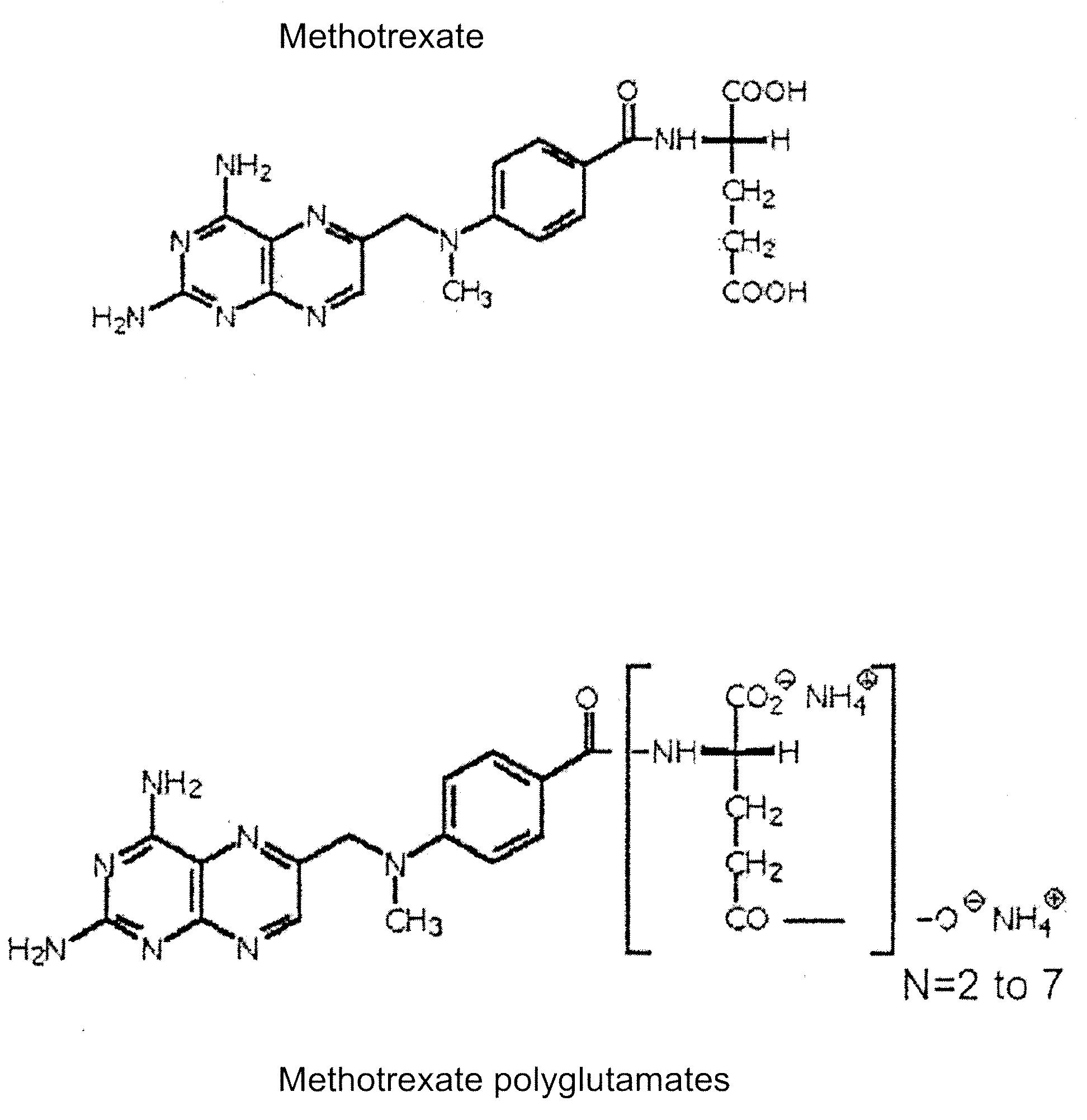 Methods of quantifying methotrexate metabolites