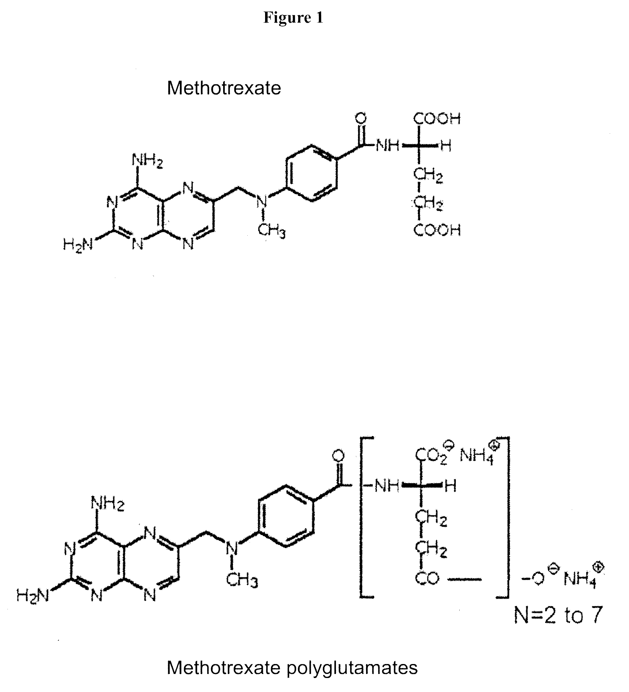 Methods of quantifying methotrexate metabolites