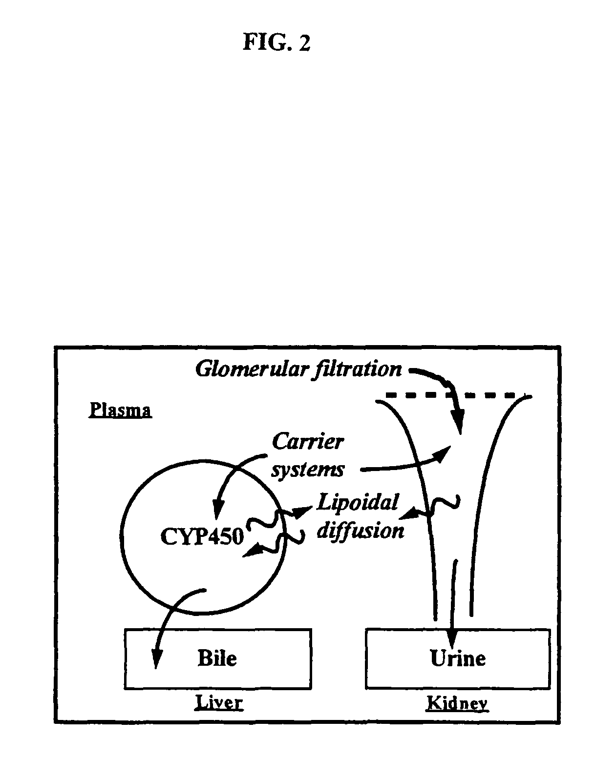 Method of increasing drug oral bioavailability and compositions of less toxic orotate salts