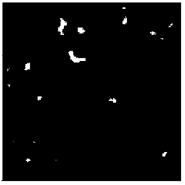 Hyperspectral image classification method based on F-EEMD (fast ensemble empirical mode decomposition)