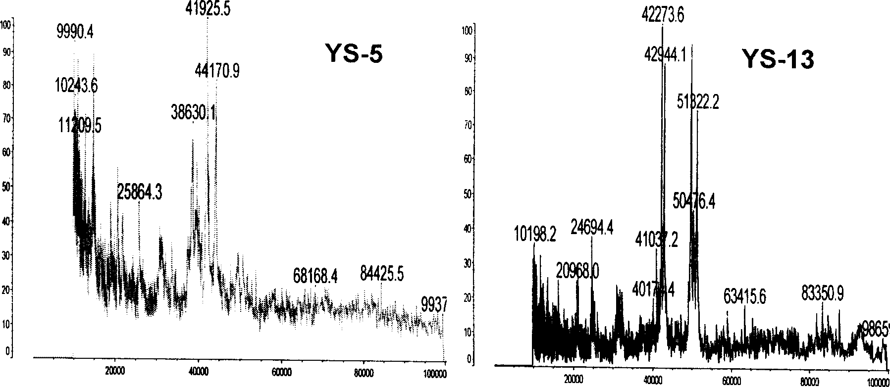 Mass spectrum method for identifying low-molecular-weight glutenin subunit of wheat