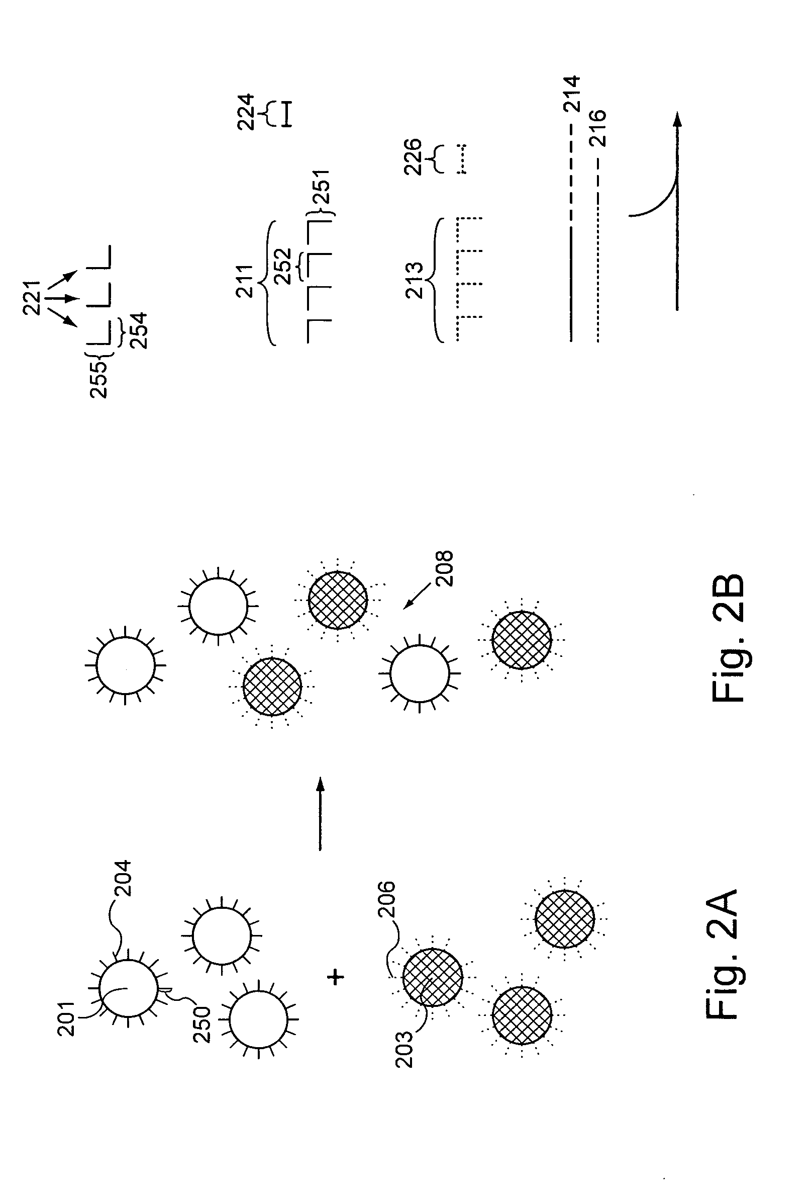 Assays for determining telomere length and repeated sequence copy number