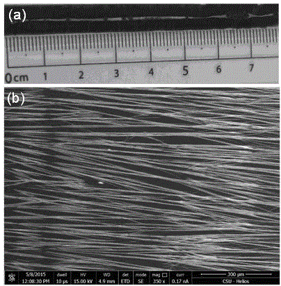 Preparation method of large-area perovskite micro-nano wire array and application thereof