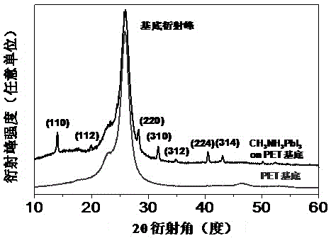 Preparation method of large-area perovskite micro-nano wire array and application thereof