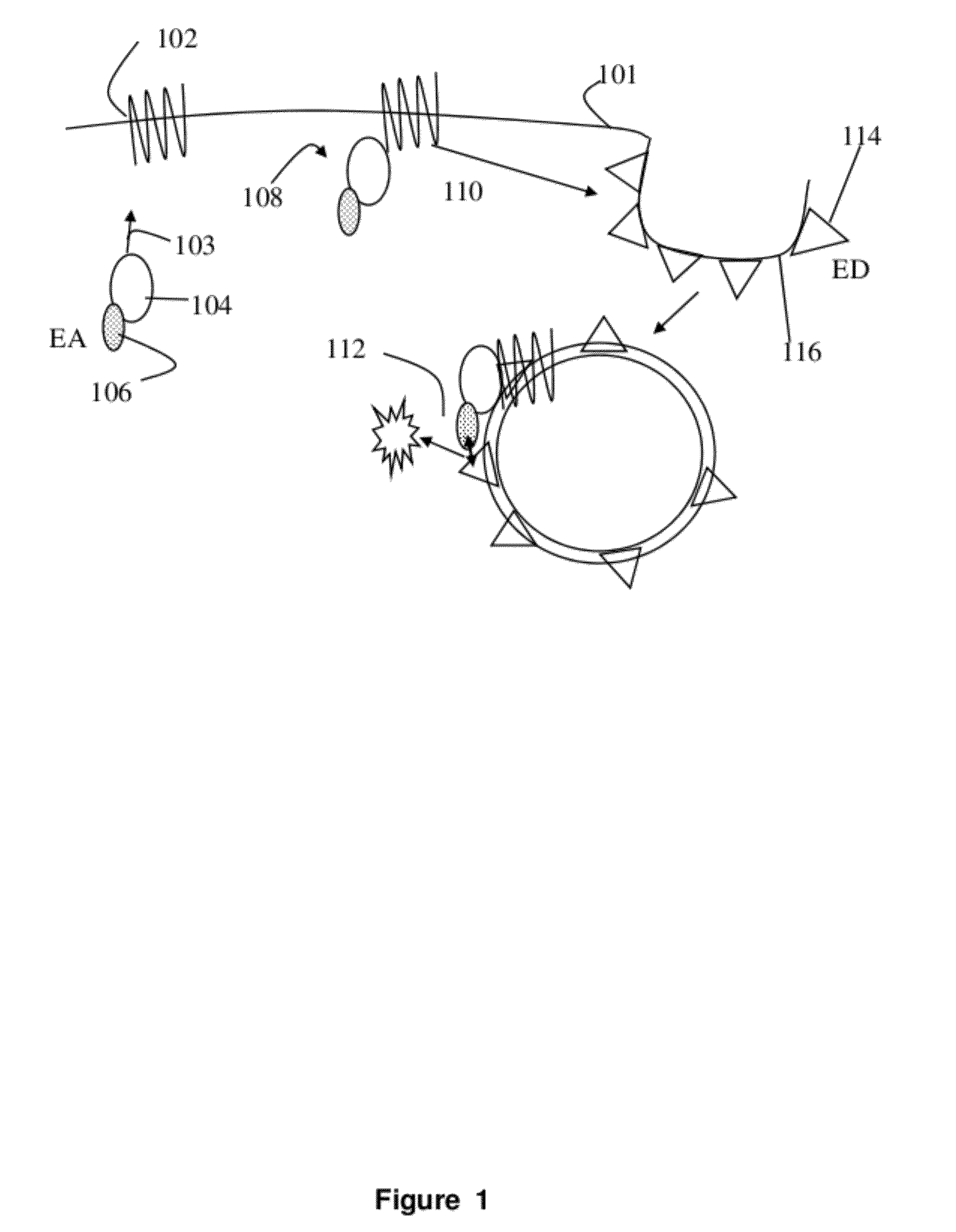 Wild-type receptor assays