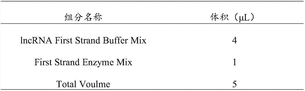 Molecular marker relevant to adolescent idiopathic scoliosis and application thereof