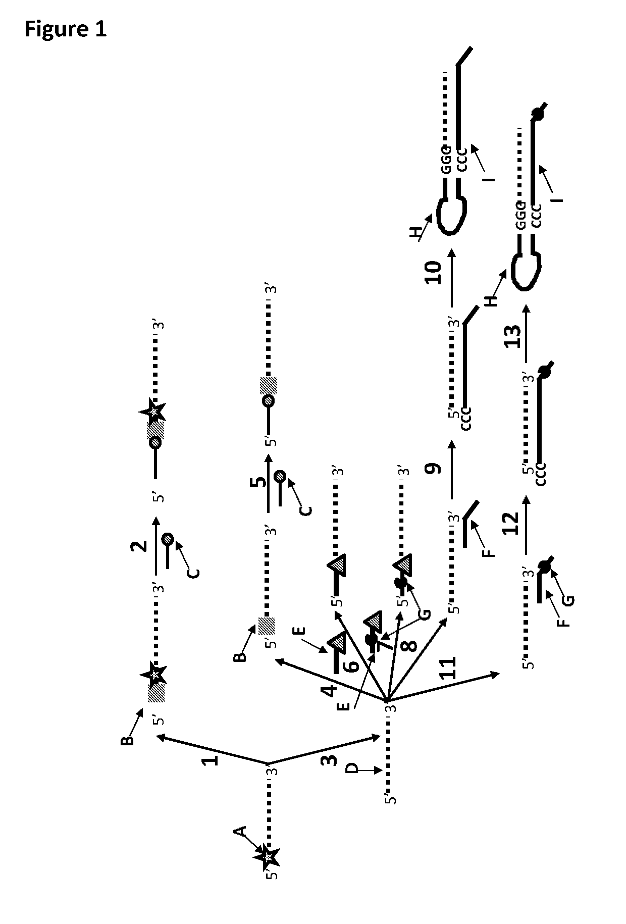 Method for nanopore RNA characterisation