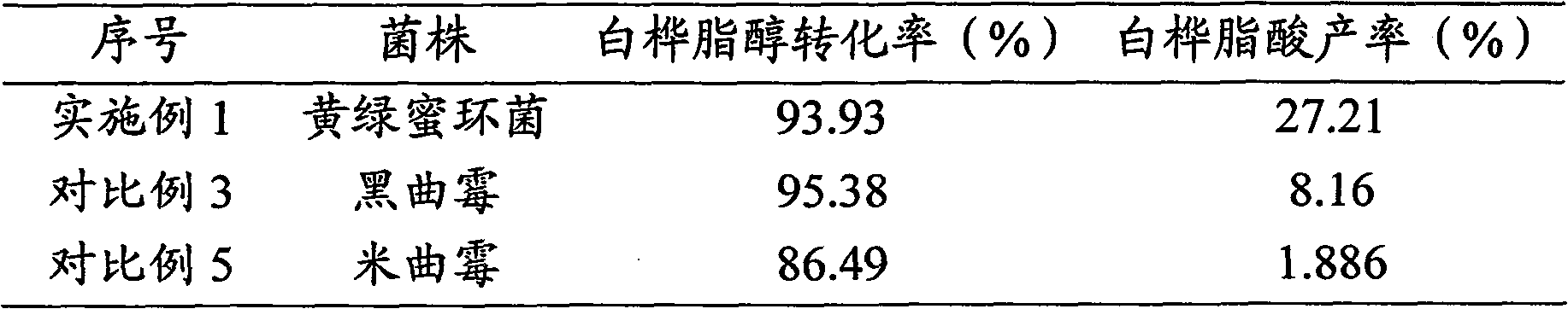 Method for synthesizing betulic acid from betulin through microbial cell bioconversion